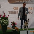 piest4 16